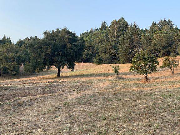 3rd image of 8196 Highway 17