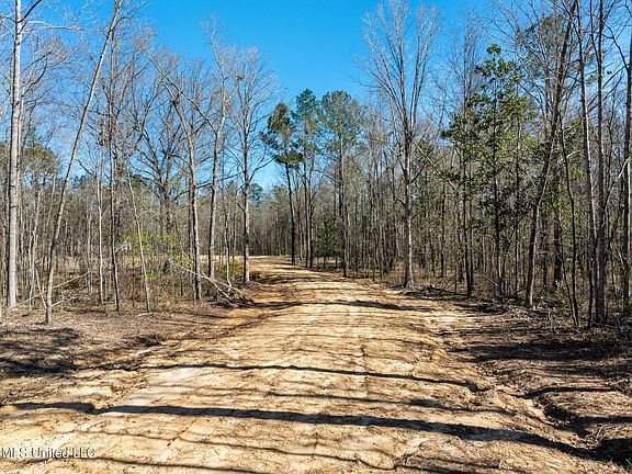 5th image of Lott Town Rd