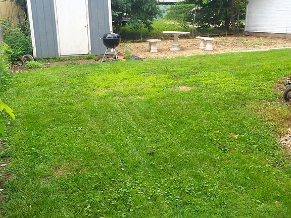 Spacious yard and shed