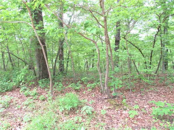 Burton Rd, Barnett, MO 65011