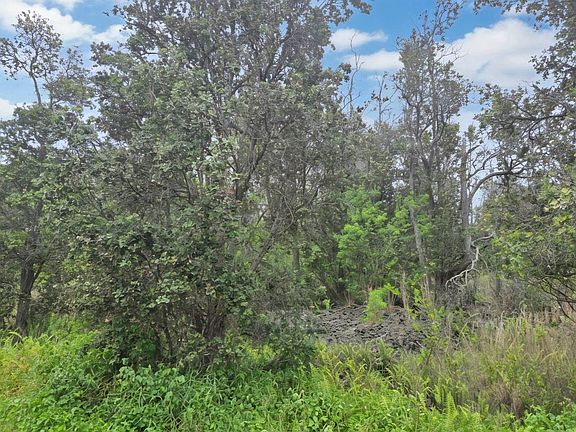3rd image of Orchid Pkwy
