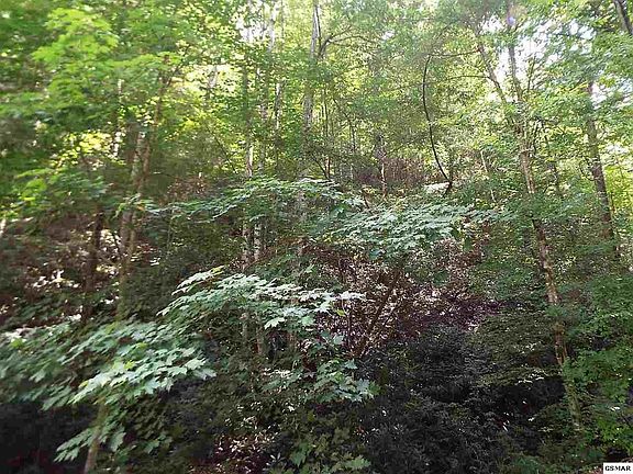 4th image of 5375 Deep Hollow Rd Lot 537&538