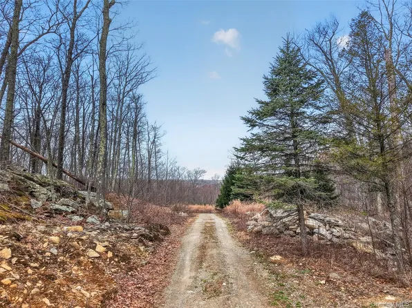 545 Grape Hollow Road, Holmes, NY 12531