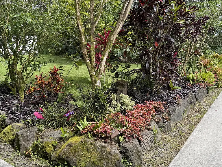 Beautiful landscaping provides privacy
