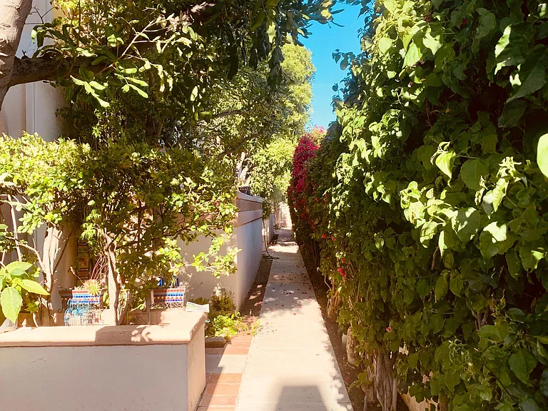 6 Units From Door Garden Walkway