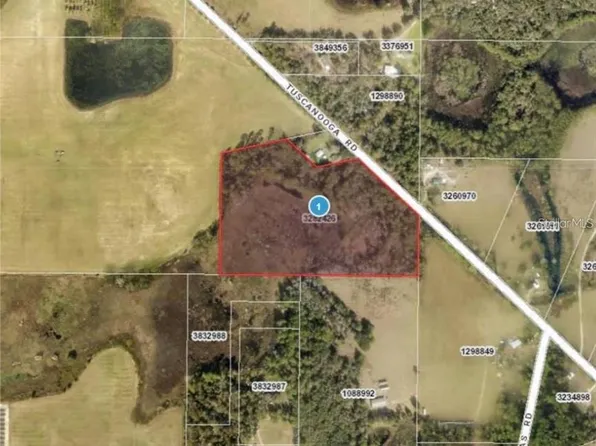 Tuscanooga Rd, Mascotte, FL 34753