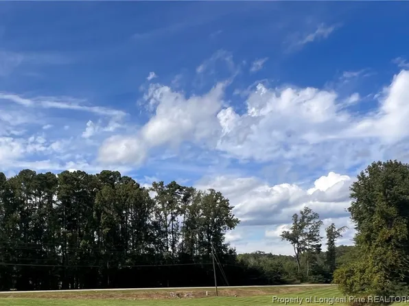 Lemon Springs Rd, Sanford, NC 27332