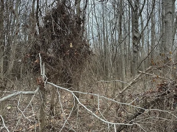 LOT 1 Pecan Rd, Du Quoin, IL 62832