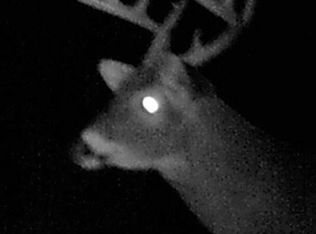 0 Stanley Rd, Overbrook, KS 66524