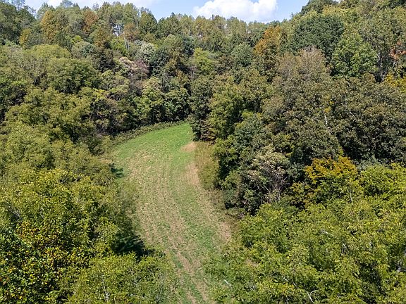 3rd image of 384 Big Spring Hollow Rd