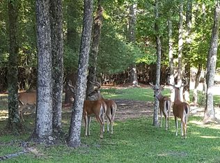 5323 Country Ct, Magnolia, TX 77354