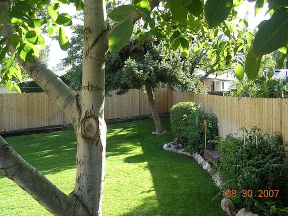 Back Yard