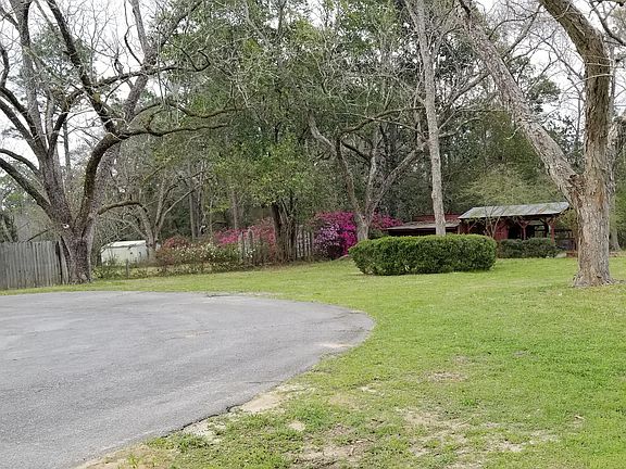 Driveway and Back Yard