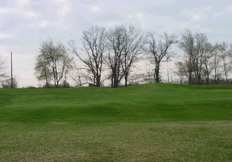 Golf Course View