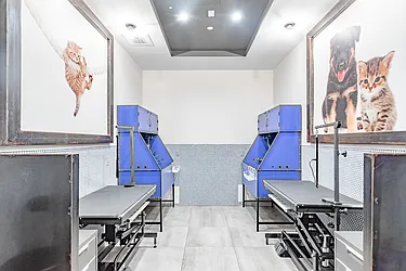 Rented by MySpaceNYC