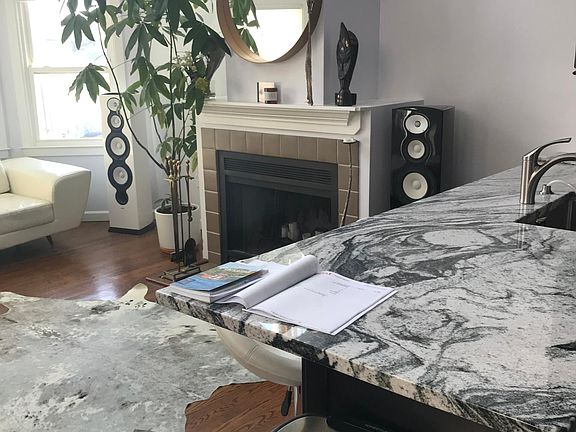 Wood Burning Fire Place