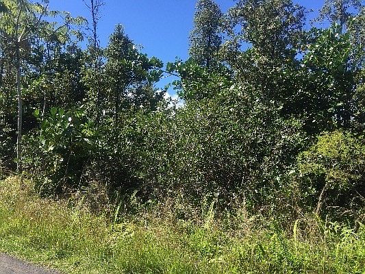 2nd image of Amau Rd