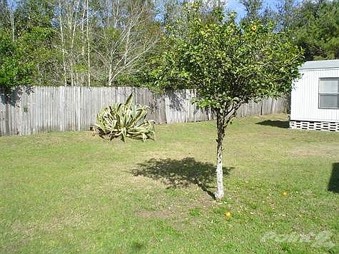 Back yard