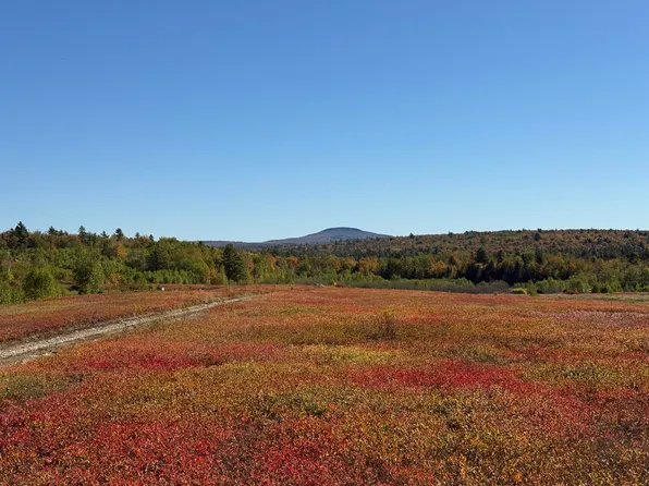 MAP19LOT28 Leach Road, Penobscot, ME 04476
