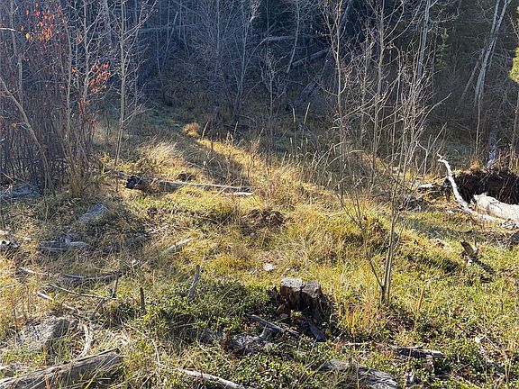 5th image of Spring Creek Emery Rd