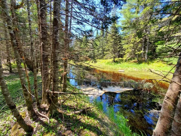 4-2 Black Cow Meadow Road, Northfield, ME 04654