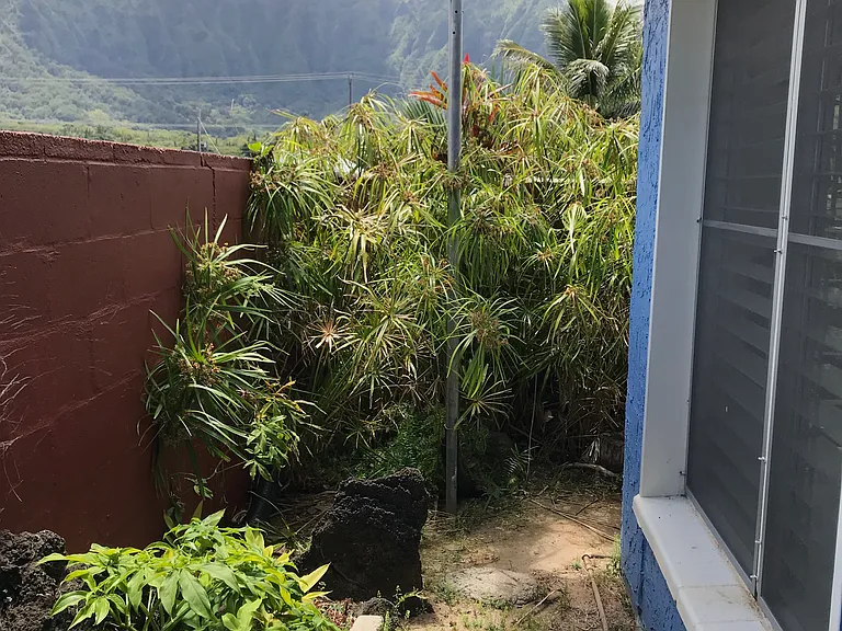 Hinalea St — Photo 4