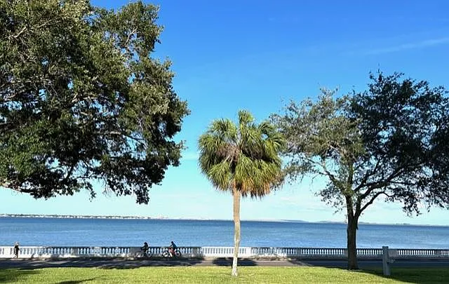 4015 Bayshore Blvd #8D — Photo 11