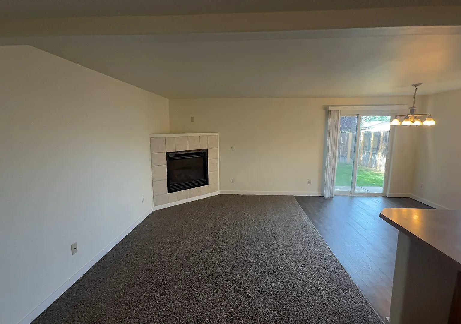 Coho # 5/Goldberg — Photo 3