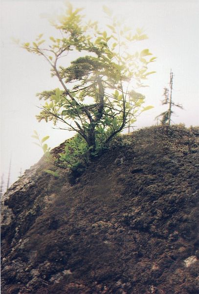 3rd image of 0 Granite Creek Trail