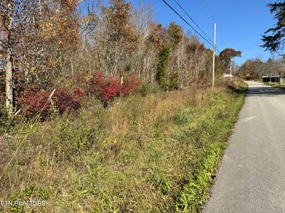 Tunnel Hill Rd, Robbins, TN, 37852