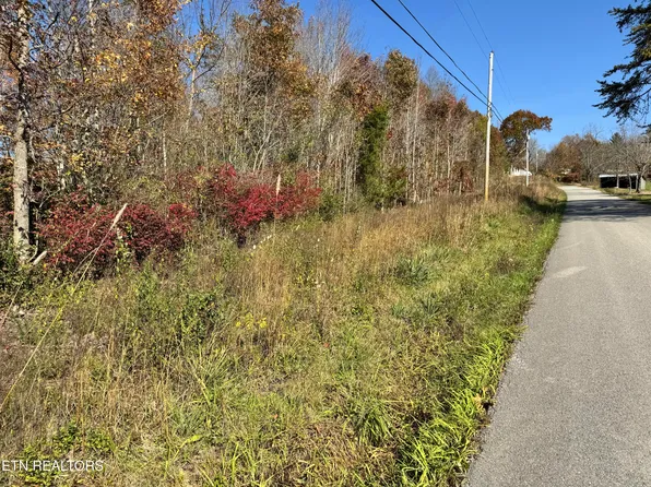 Tunnel Hill Rd, Robbins, TN 37852