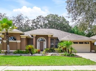 10423 Nightengale Dr, Riverview, FL 33569