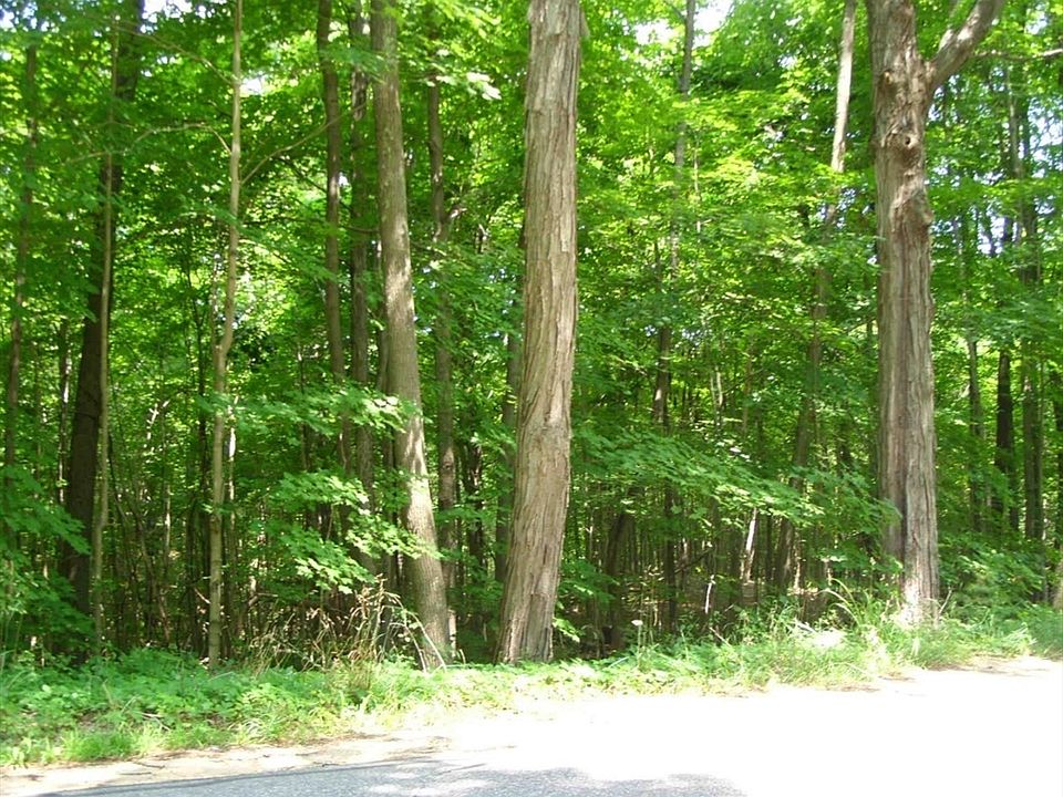 2nd image of 249 Holland Rd