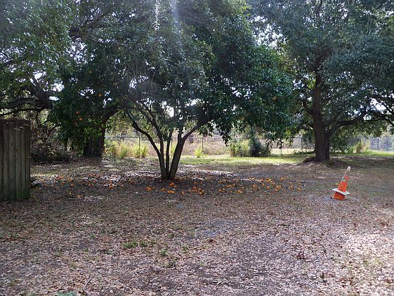 rear lot looking S at nature preserve
