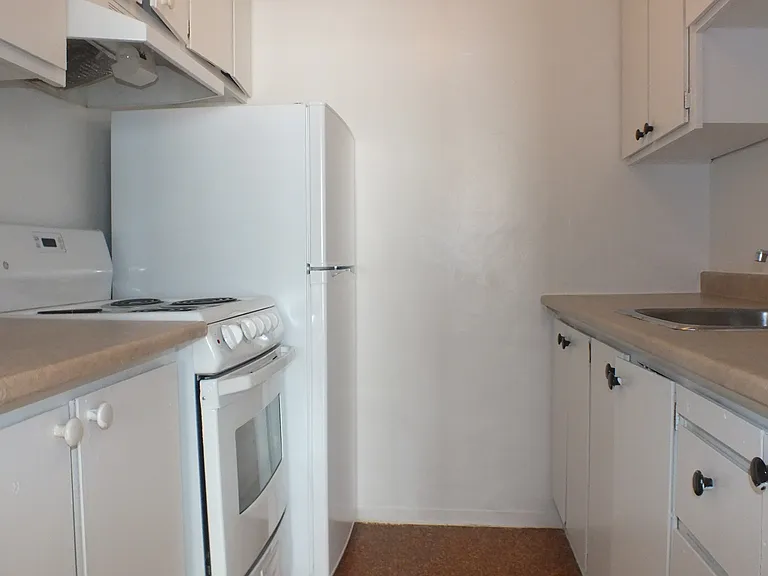 230 Gloucester St — Photo 5