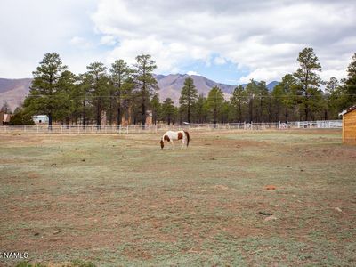 12195 N Copeland Ln, Flagstaff, AZ, 86004