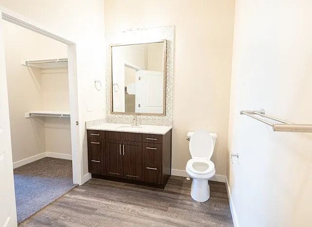 Bathroom with Modern Design Features Bathroom with Modern Design Features