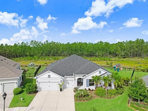 16160 November Rain Ct, Land O Lakes, FL 34638