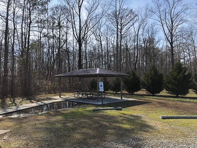 Community Picnic Area