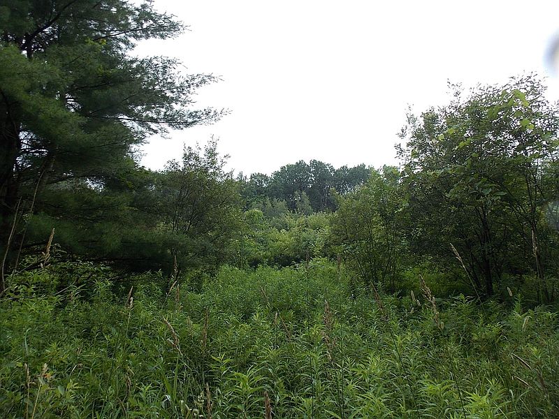 2nd image of 0 PEACEABLE Street