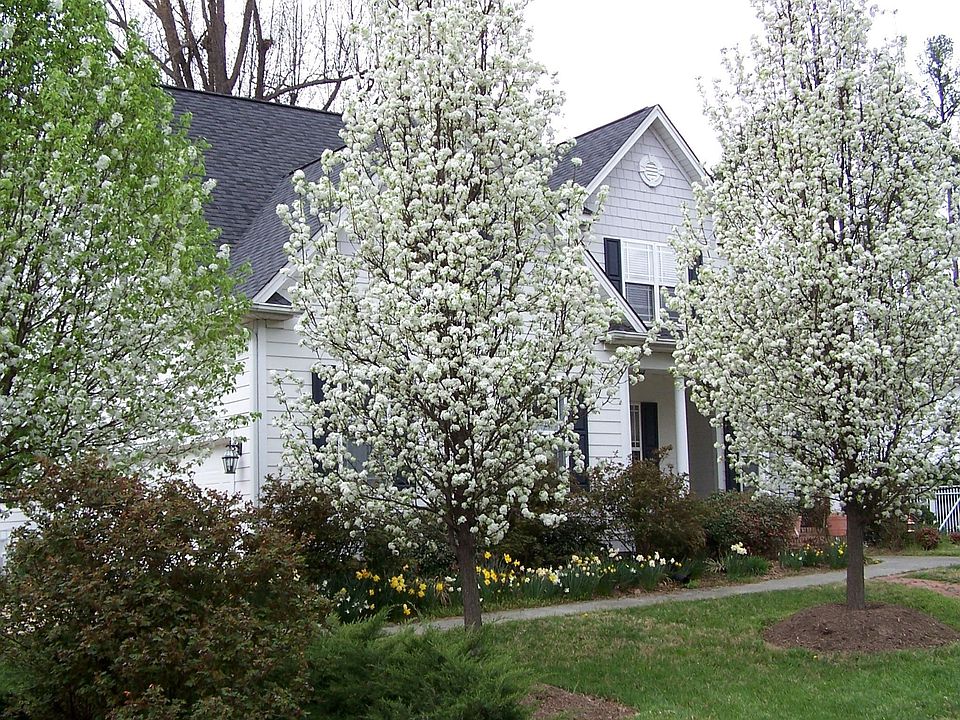 2nd image of 1701 Arrowhead Dr