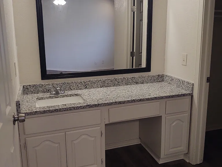 Master sink and vanity
