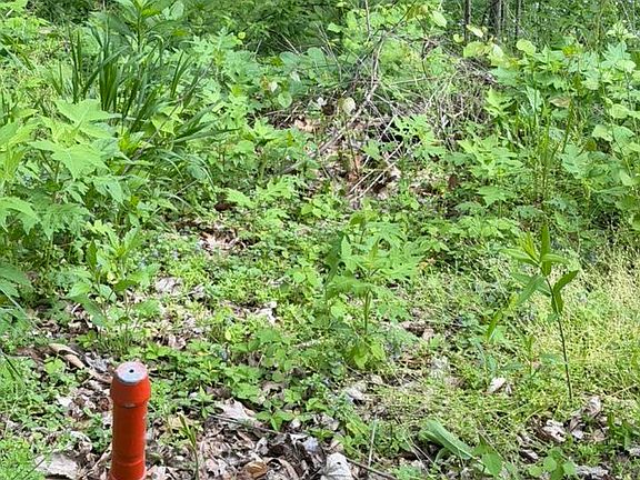 2nd image of Coon Path Rd
