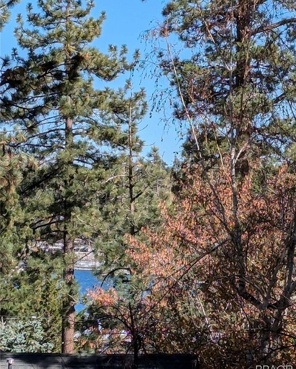2nd image of 543 Chipmunk Ln