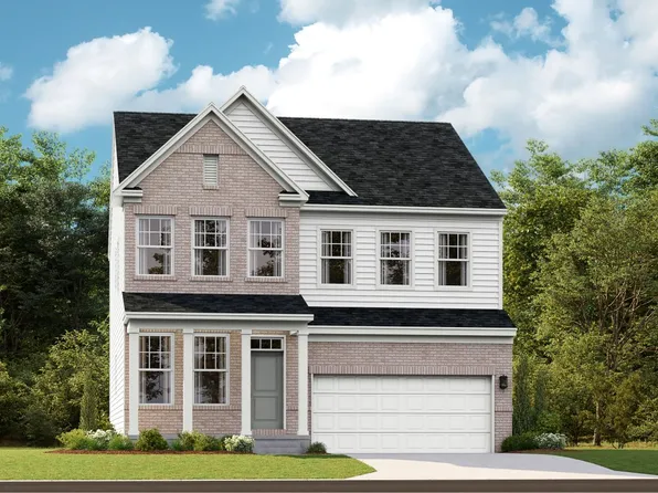 Primrose Plan, Shenandoah Springs : Mountain Laurel Collection