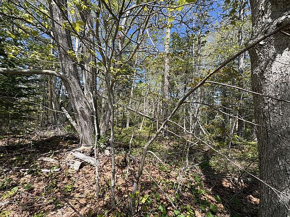 3rd image of Lot 116010 Martin Point Road