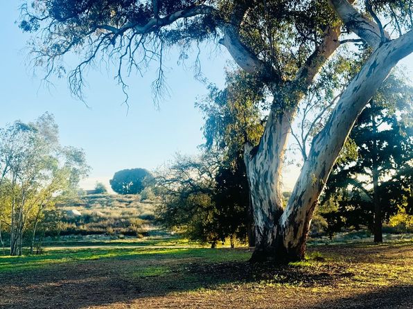 2804 S. Grade Road, 2804 S Grade Rd S #A, Alpine, CA 91901