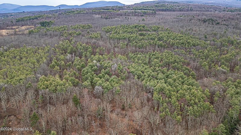 4th image of 4875-4879 Potter Hollow Road