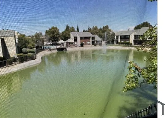 2900 Andre Ln #241 — Photo 25
