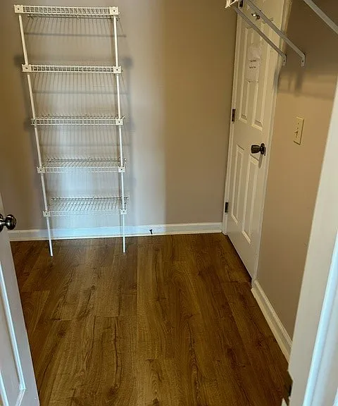 Walk-in Master closet